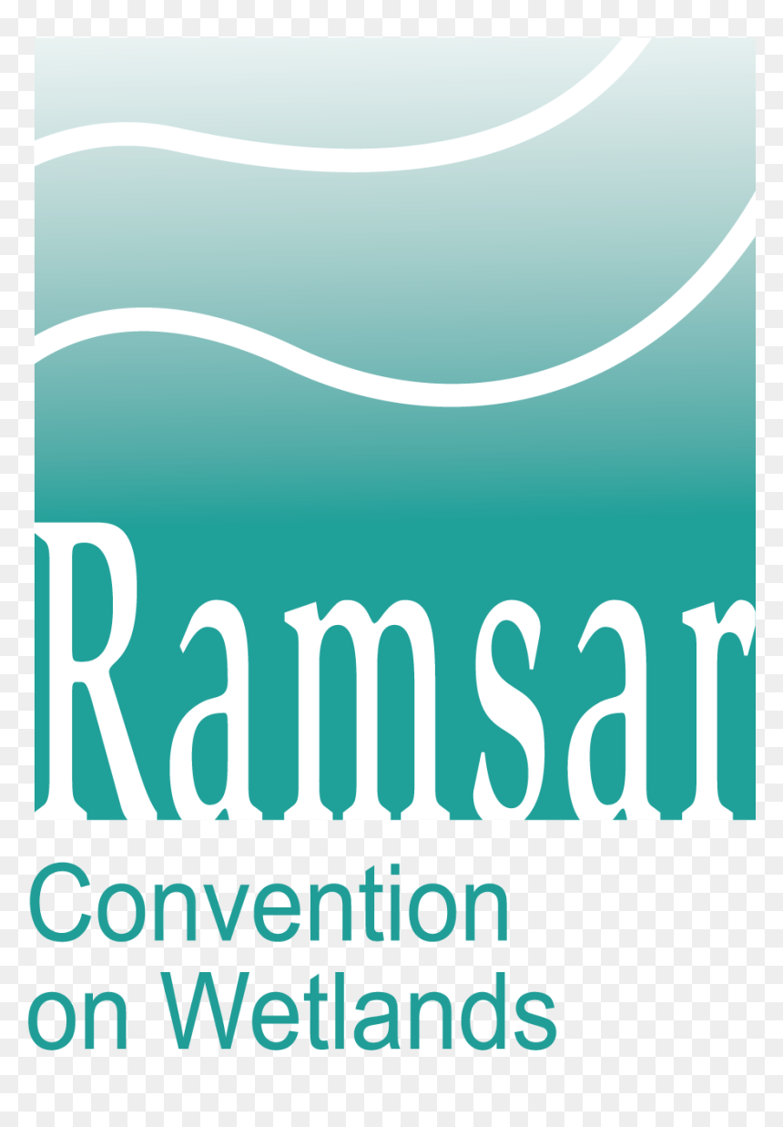Ramsar Convention On Wetlands, HD Png Download - wetland png