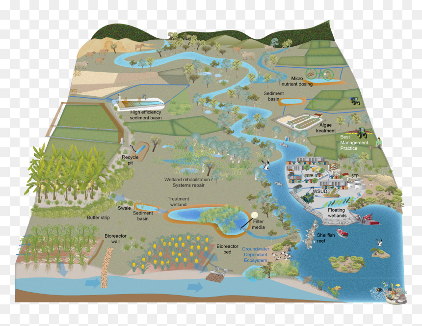 Wetland Png, Transparent Png - wetland png
