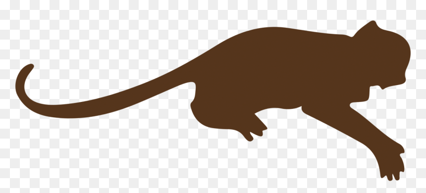 Puma Clipart , Png Download - Kangaroo, Transparent Png - kangaroo clipart png