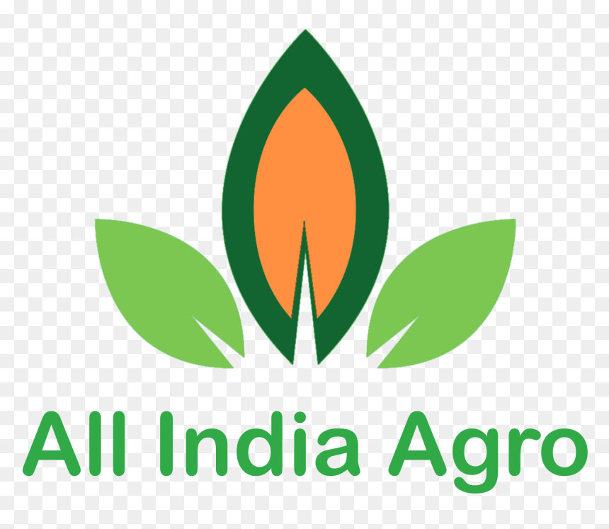 Graphic Design, HD Png Download - aia logo png