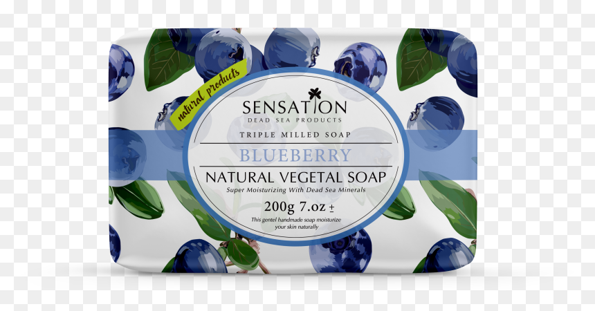Blueberry, HD Png Download - single blueberry png