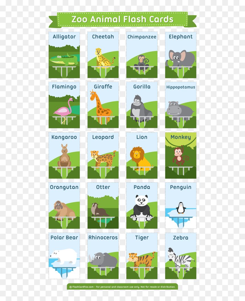 Transparent Zoo Animals Png - Zoo Animal Flashcards Free Printable, Png Download - zoo animals png