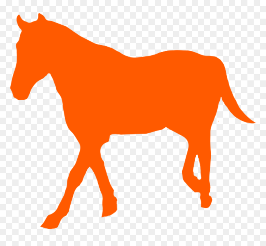 Mustang Horse Png , Png Download - Mustang Horse, Transparent Png - horse png images