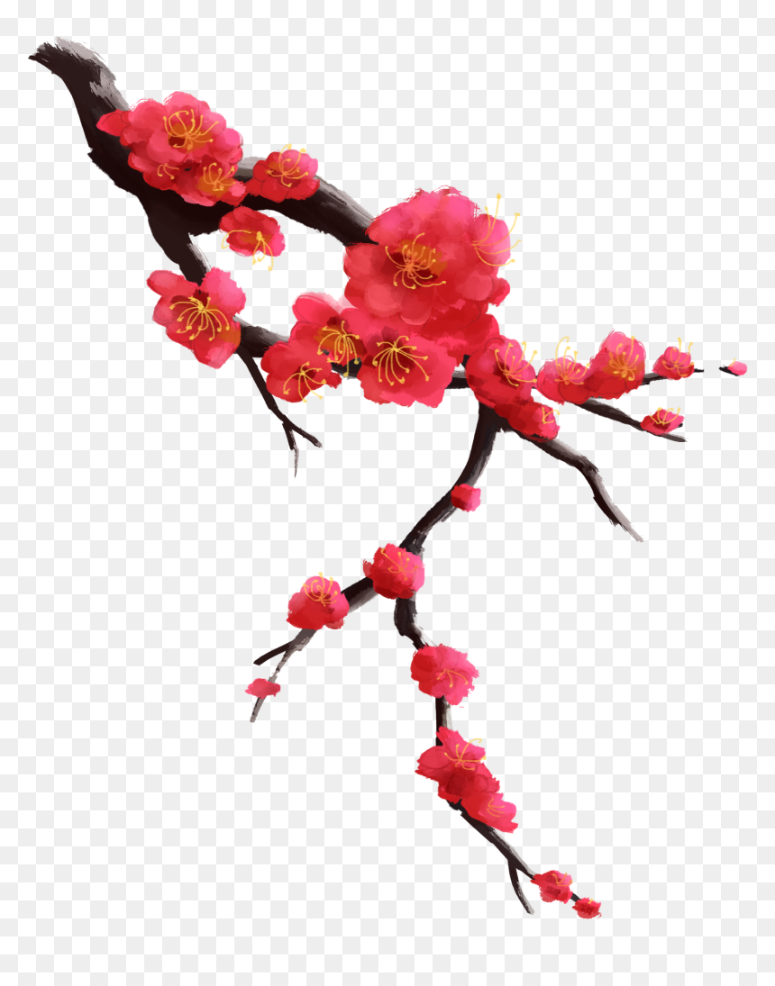 Transparent Plums Clipart, HD Png Download - plums png