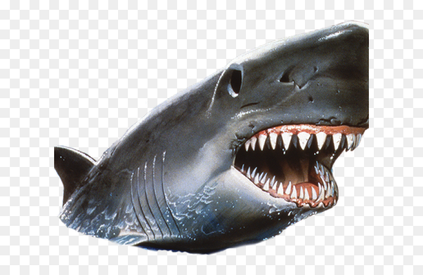 Shark Png Transparent Images - Jaws, Png Download - shark png transparent
