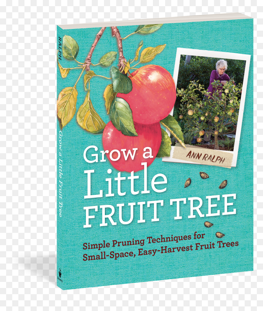 Cover - Grow A Little Fruit Tree Simple Pruning Techniques, HD Png Download - plums png