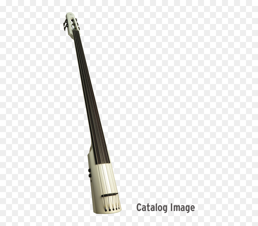 Parlament De Catalunya 2010, HD Png Download - double bass png