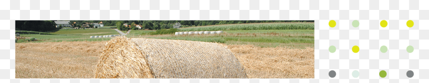 Top Image - Field, HD Png Download - hay bales png