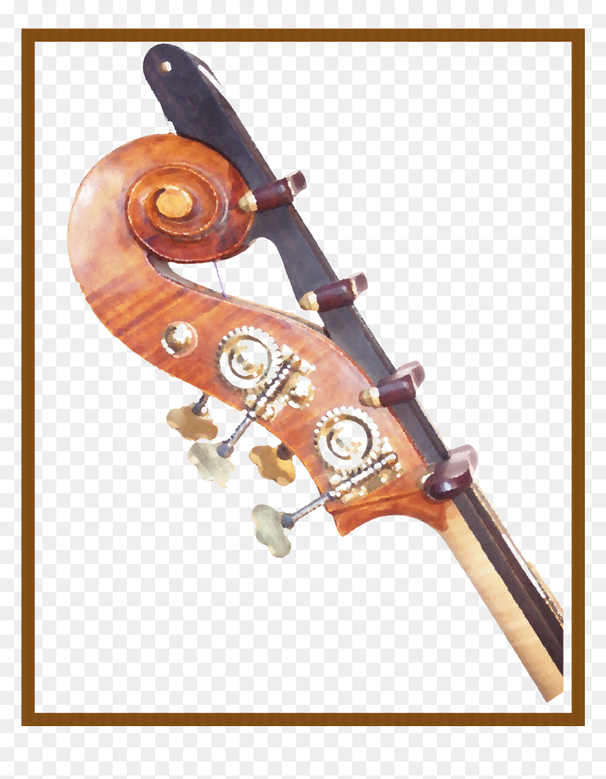 Mark Stefaniw - Viola, HD Png Download - double bass png