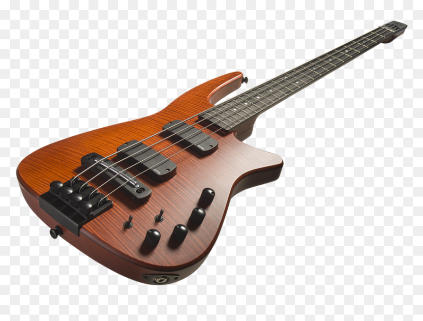 Bass Guitar String Instruments Double Bass - Ns Design Electric Bass, HD Png Download - double bass png