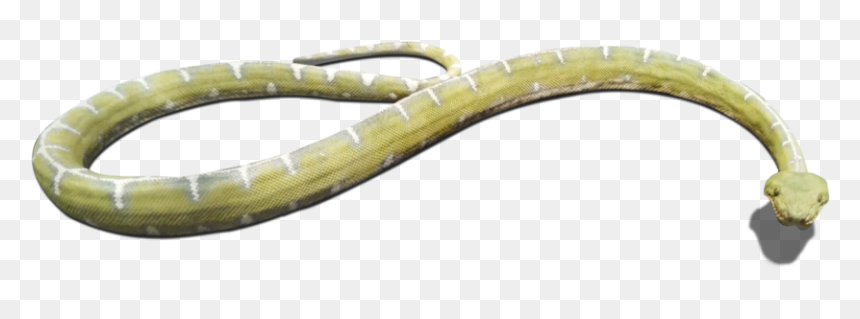 Download And Use Snake Png Clipart - Grass Snake, Transparent Png - snake png transparent