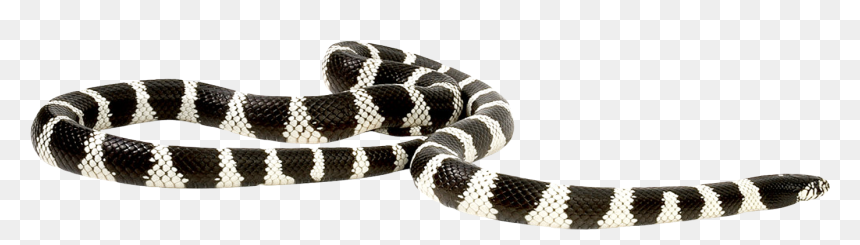 Snake Png Transparent Image - Portable Network Graphics, Png Download - snake png transparent