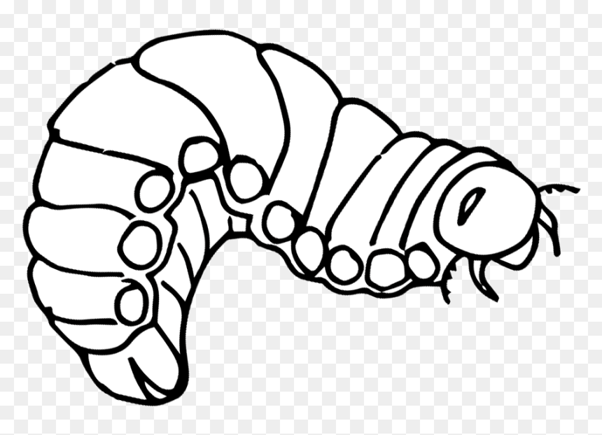 Line Art, HD Png Download - hungry caterpillar png