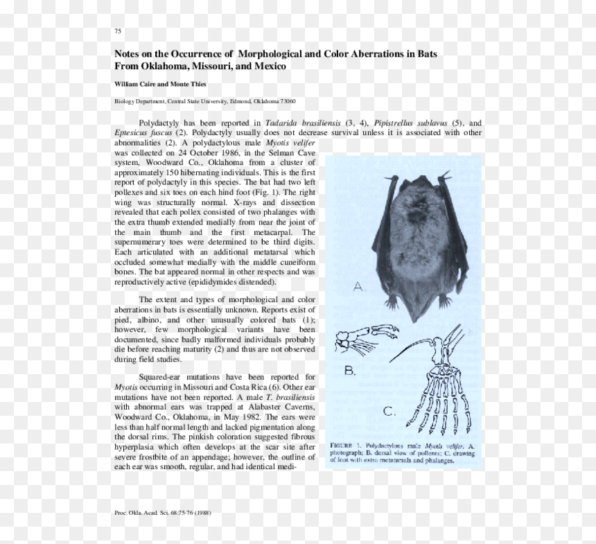 Document, HD Png Download - oklahoma outline png