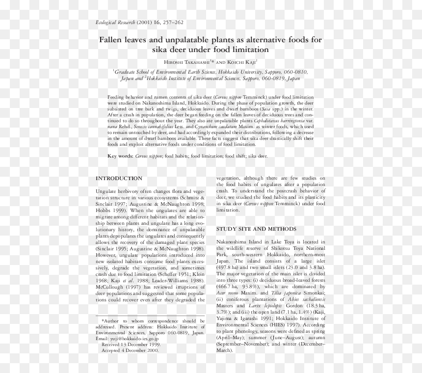Document, HD Png Download - fallen leaves png