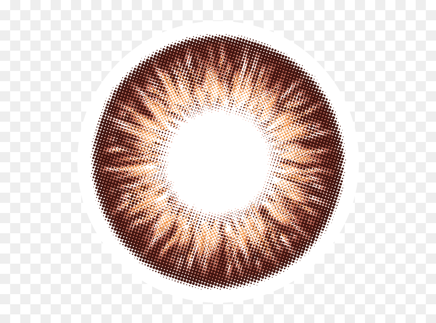 Brown, HD Png Download - realistic eye png