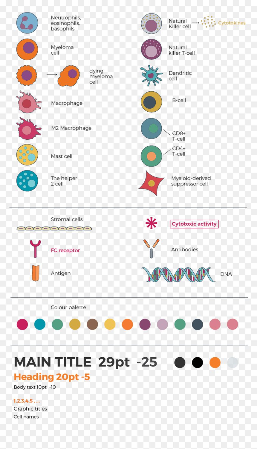 Screenshot, HD Png Download - immune system png