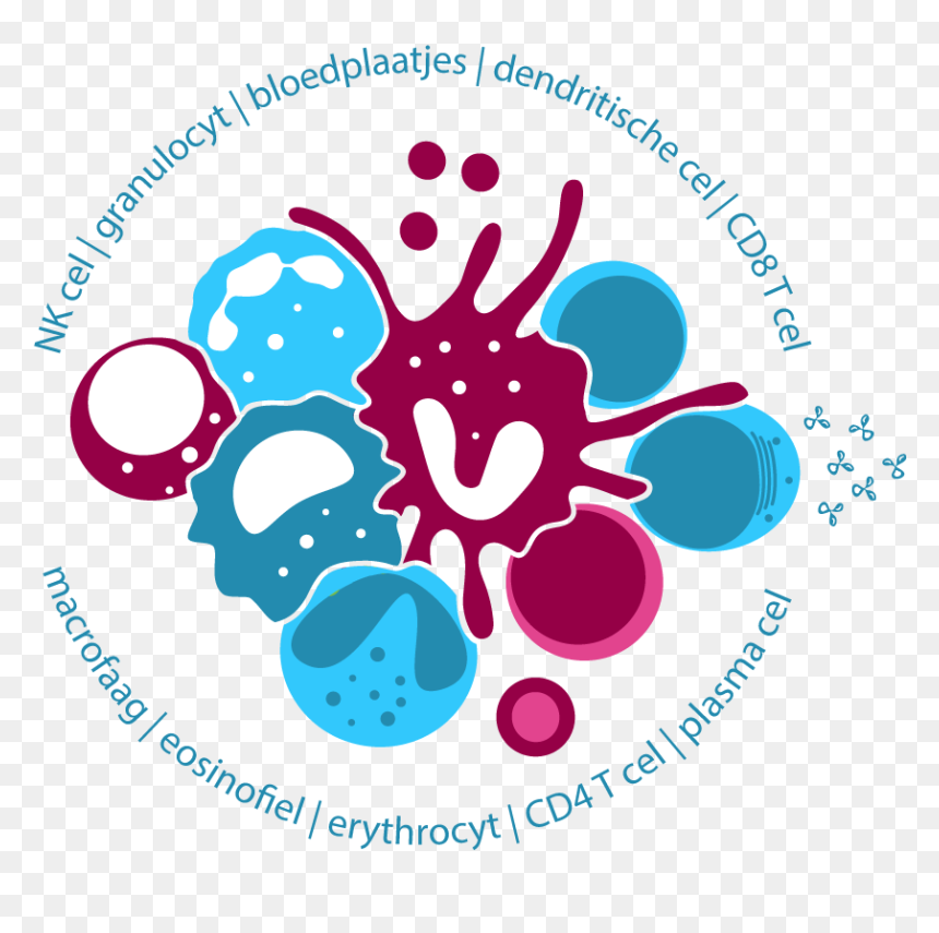 Clip Art, HD Png Download - immune system png