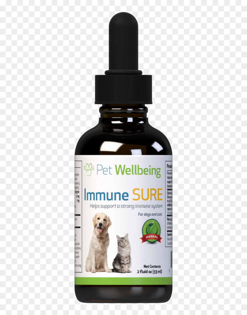 Original7"
 Data-large Image="//cdn - Young At Heart Pet Wellbeing, HD Png Download - immune system png