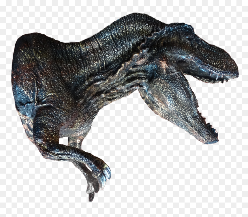 Lizard, HD Png Download - pared png