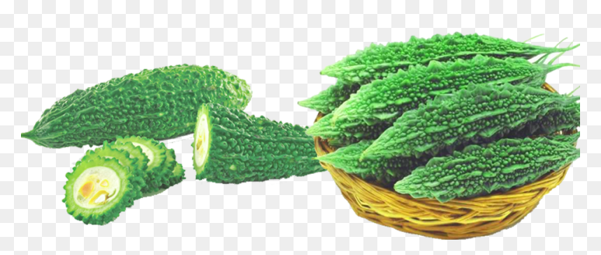 100 Indian Bitter Melon Bitter Gourd Seeds Balsam Pear - Fresh Bitter Gourd, HD Png Download - gourd png