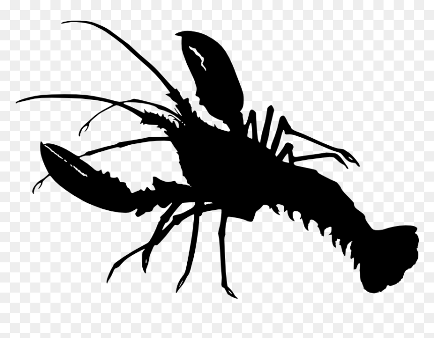 Crayfish As Food Lobster Crab Silhouette - Lobster Silhouette Png, Transparent Png - crayfish png