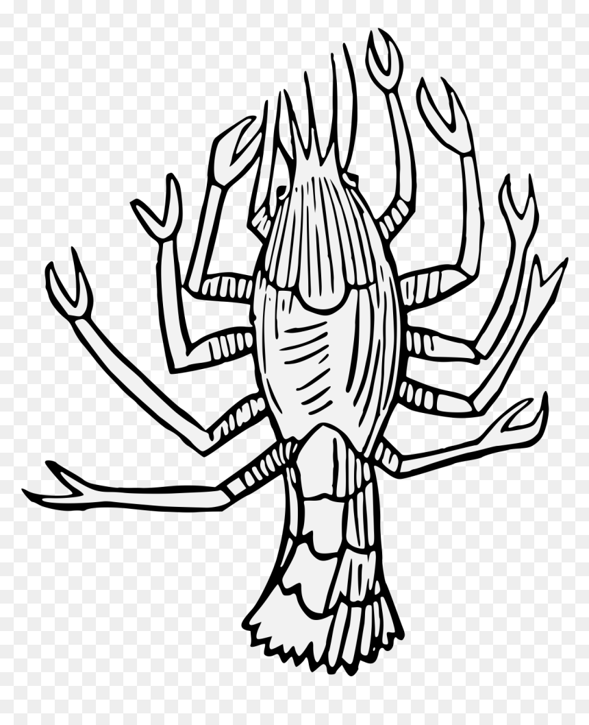 Crayfish Png, Transparent Png - crayfish png