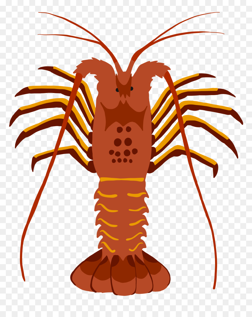 Lobster Clipart , Png Download - Difference Between Lobster And Crayfish, Transparent Png - crayfish png