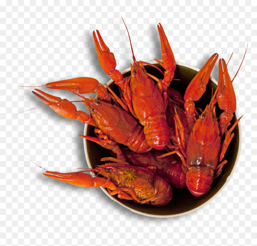 Crawfish Clipart Svg - Crab Boil, HD Png Download - crayfish png