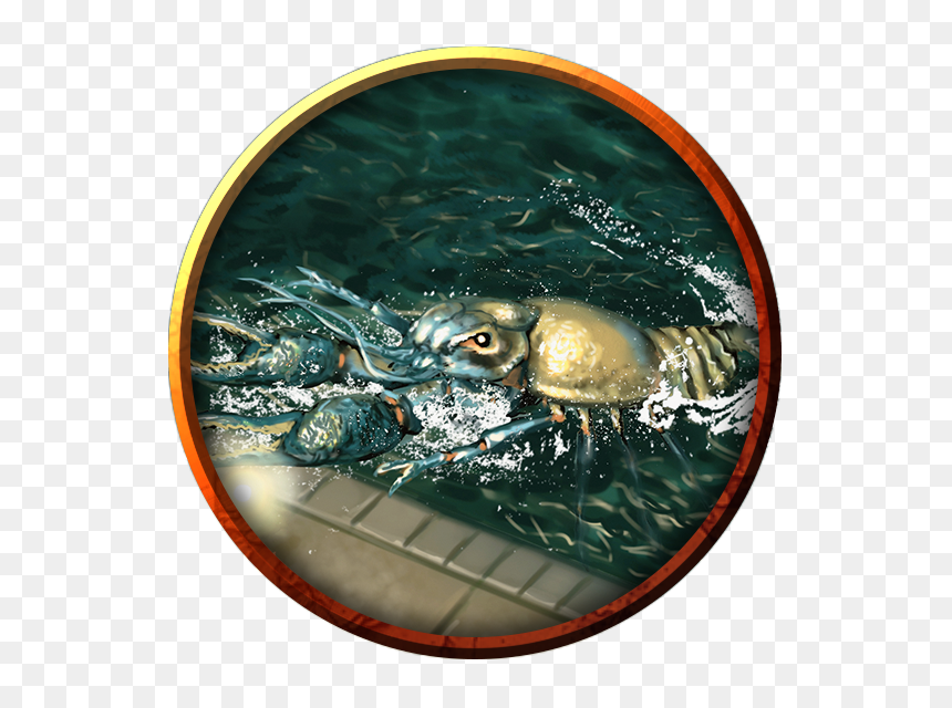 Blowfish, HD Png Download - crayfish png