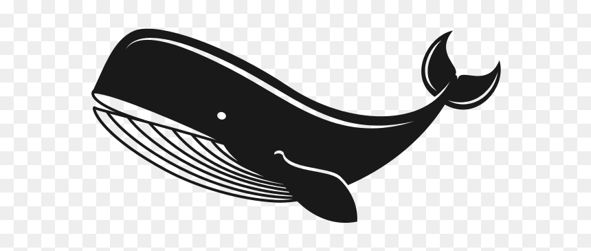 Whale - Whales, HD Png Download - whale silhouette png