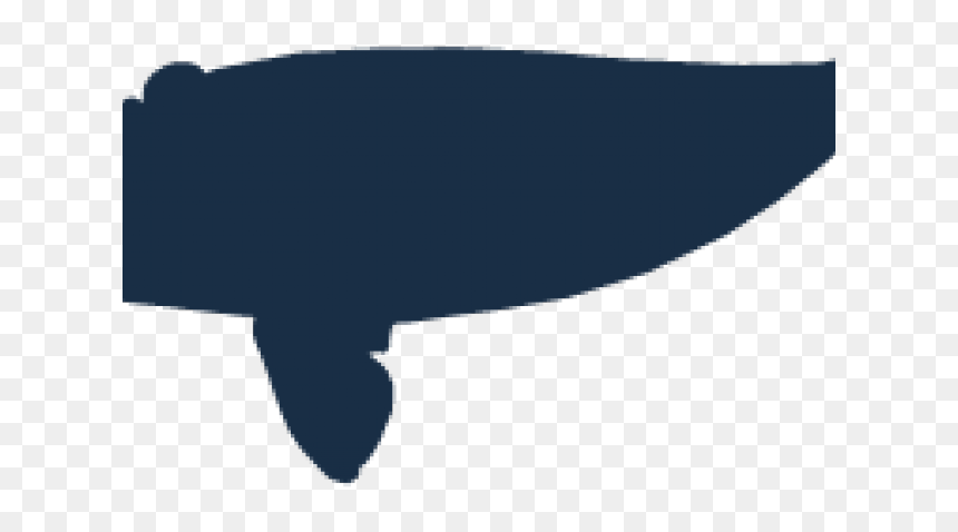 Drawn Right Whale - Whale, HD Png Download - whale silhouette png