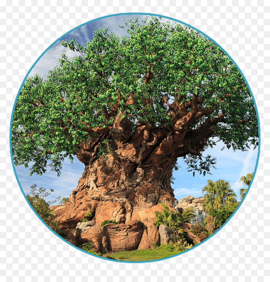 1 Day Park Plan To Disney"s Animal Kingdom Theme Park, HD Png Download - animal kingdom png