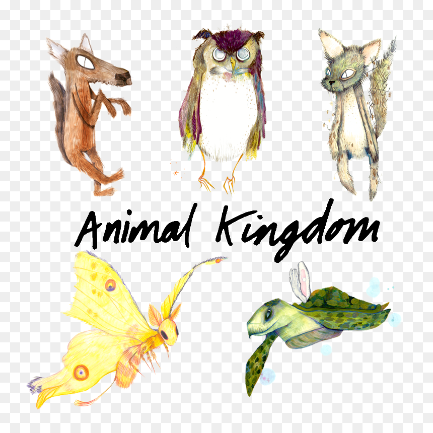 Illustration, HD Png Download - animal kingdom png