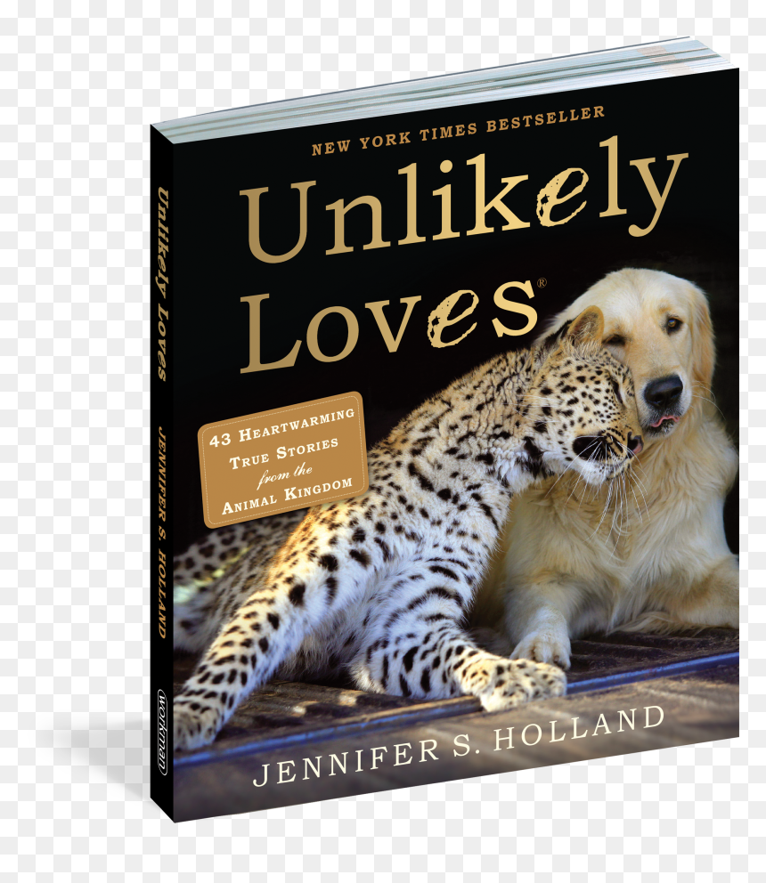 Cover - Cheetah And Emotional Support Dog, HD Png Download - animal kingdom png