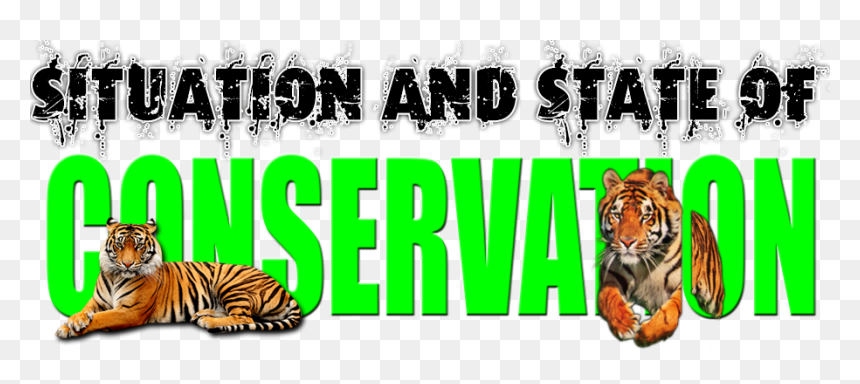 Animales En Peligro De Extincion Titulo, HD Png Download - animal kingdom png