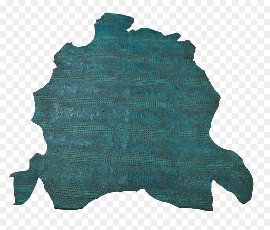 Animal Kingdom - Teal Iguana - Wool, HD Png Download - animal kingdom png