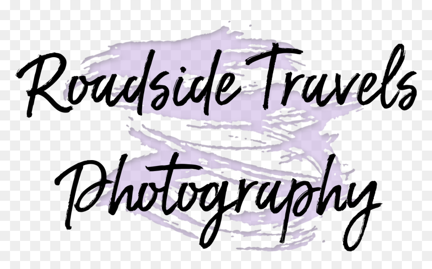 Celeste Whitehead - Calligraphy, HD Png Download - animal kingdom png