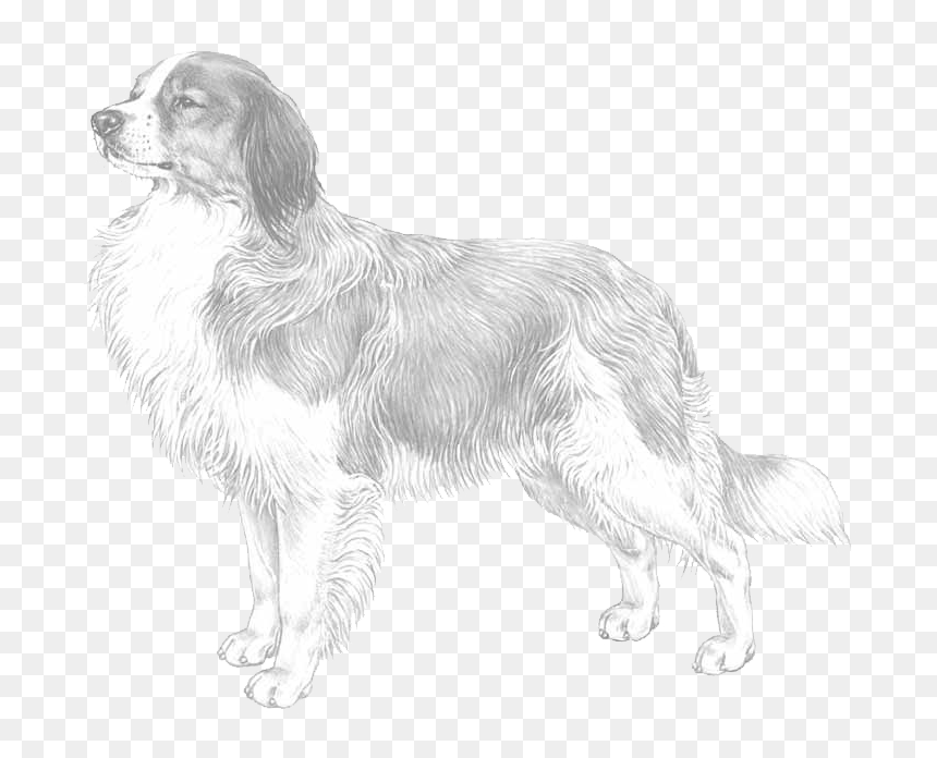 Slovak Cuvac, HD Png Download - jumping dog png
