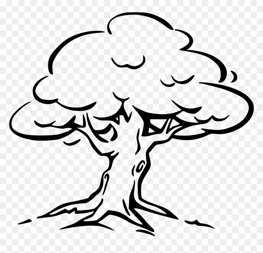 Tree Black & White, HD Png Download - perennial png