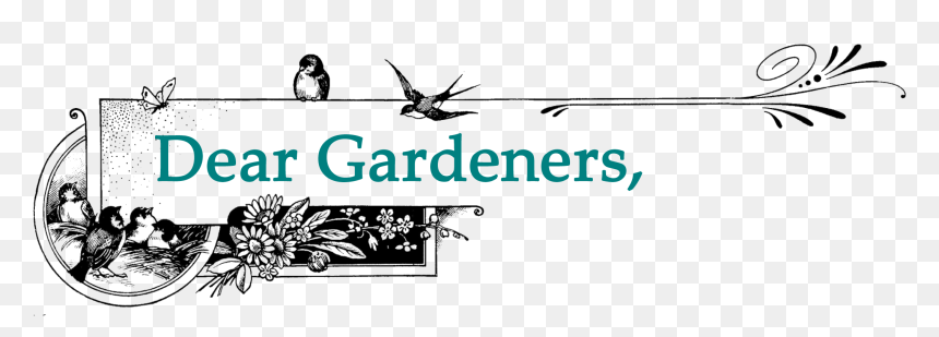 Illustration, HD Png Download - perennial png
