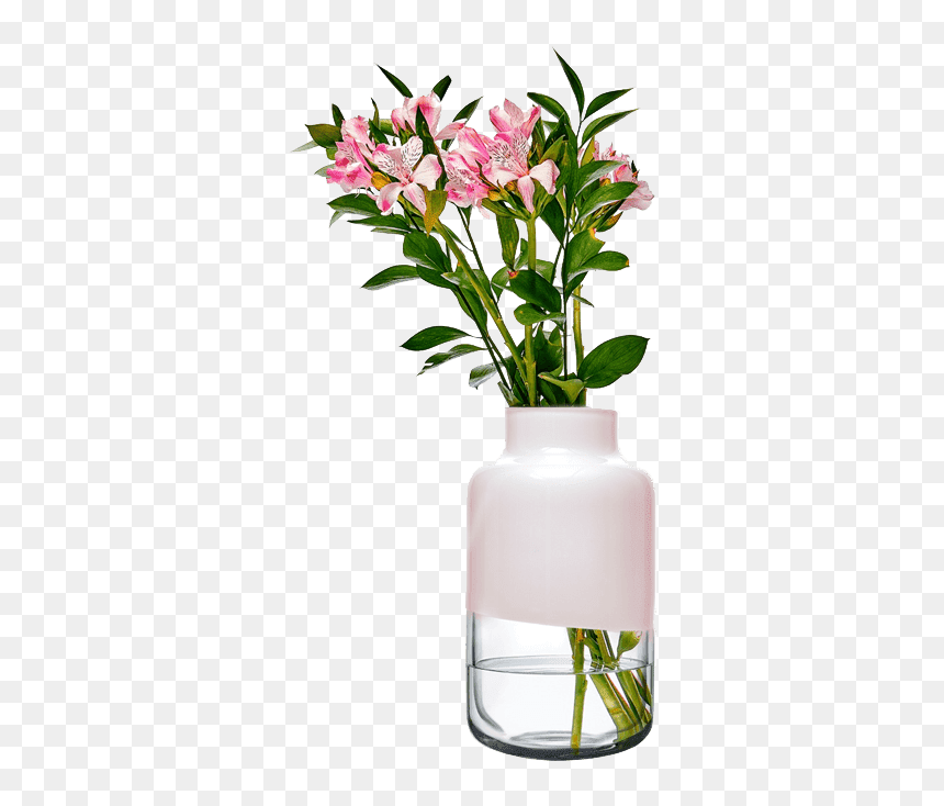 Magnolia Vase 180/320 Mm - Stargazer Lily, HD Png Download - tall flower vase png