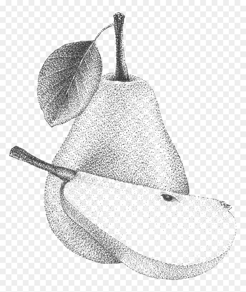 Drawing, HD Png Download - pear png