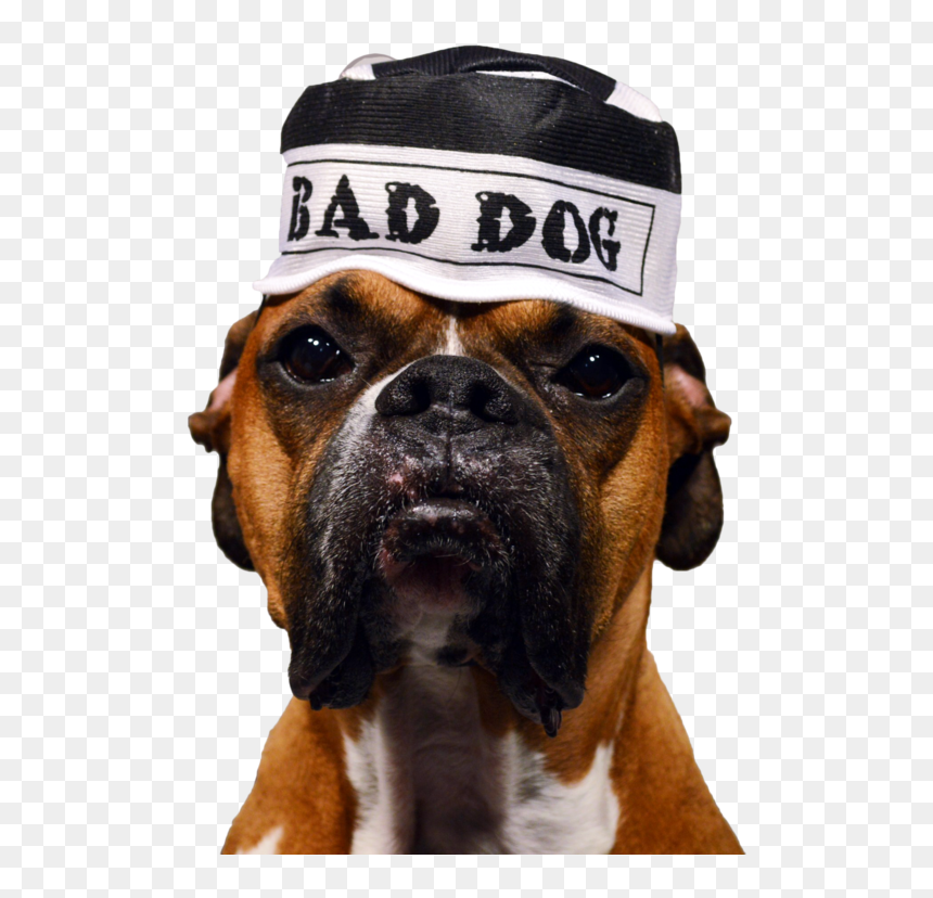 Boxer, HD Png Download - feelsbadman png