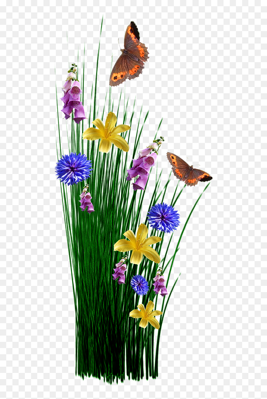 God's Favor Surrounds You Like A Shield, HD Png Download - spring flowers png