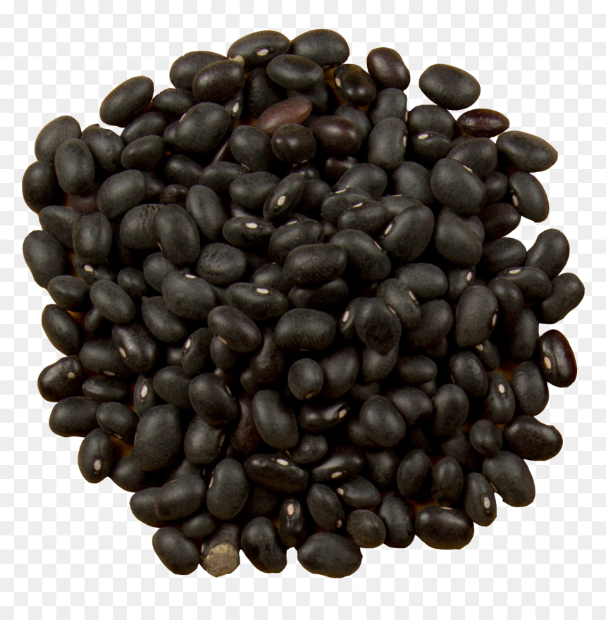Frijoles Negros, HD Png Download - burrito png