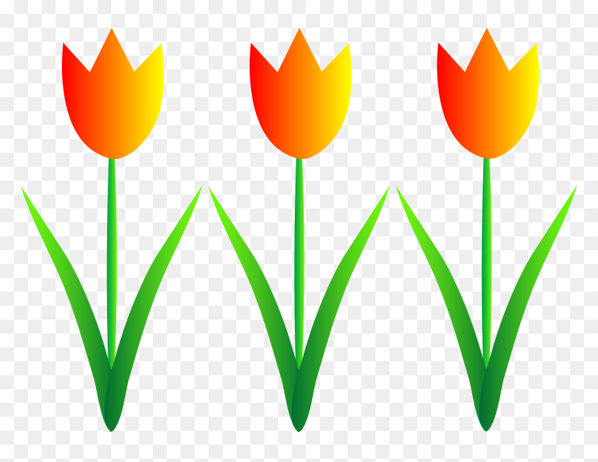 Tulips Clip Art, HD Png Download - spring flowers png