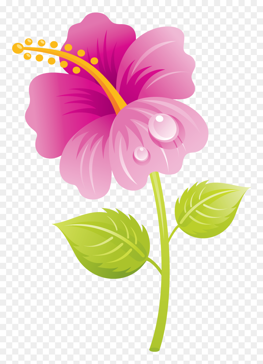 Happy Mothers Day Nanna, HD Png Download - spring flowers png