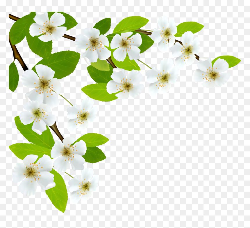 Good Morning Message With Respect, HD Png Download - spring flowers png