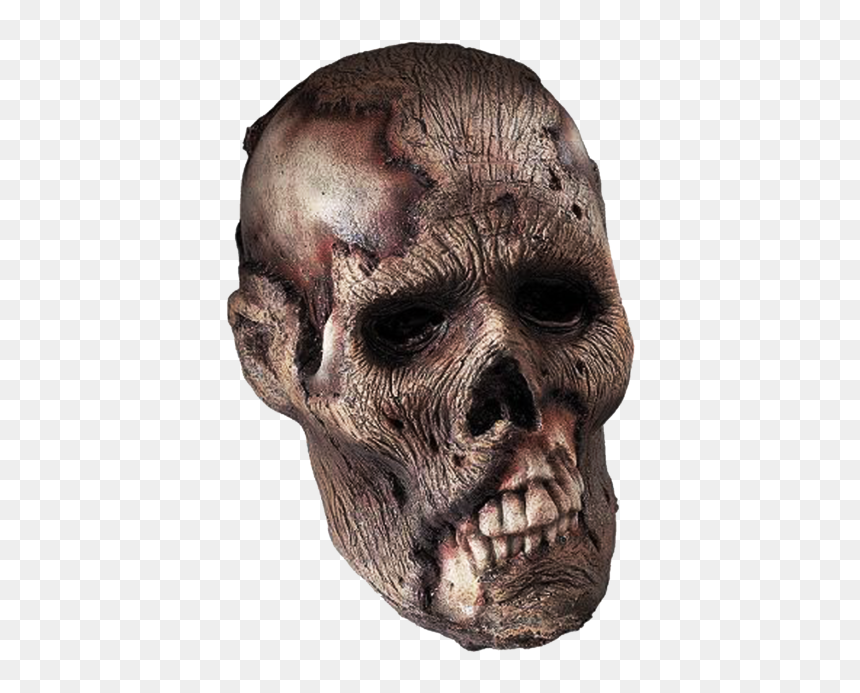 Png Head, Transparent Png - head png